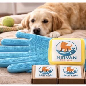 Nirvan Dog Essential Kit Blue